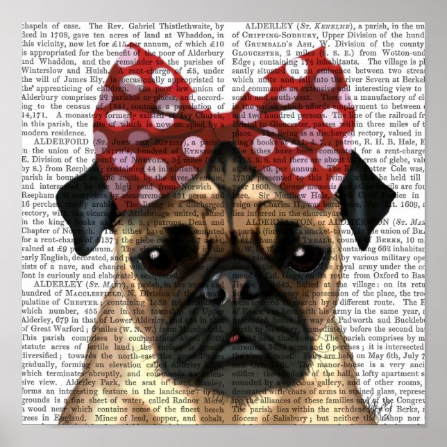 Póster Pug com Laço Vermelho Manchado na Cabeça (Frente)