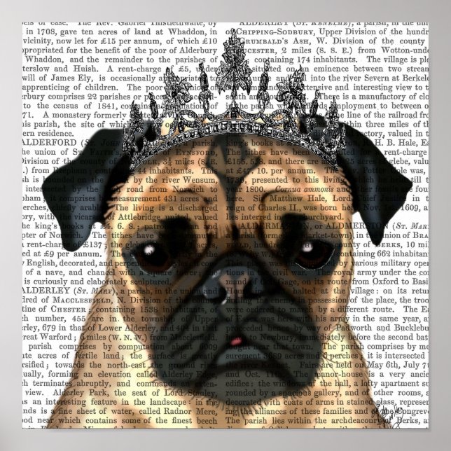 Póster Pug Com Tiara (Frente)