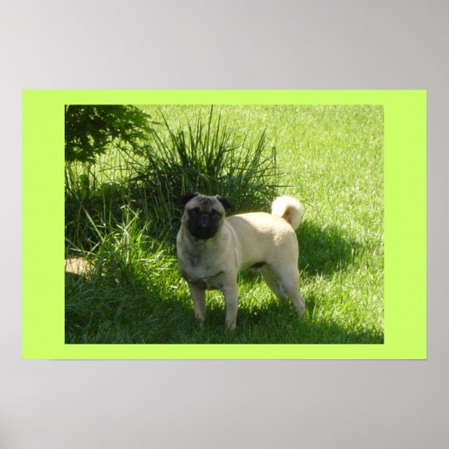 Póster Pug Day (Frente)