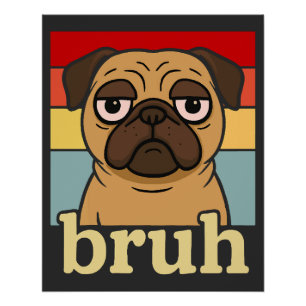 Póster Pug Divertido Bruh Cachorro Bobo Amante de Cachorr