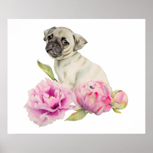 Poster Pug e Peonias   Ilustração de Aquarela