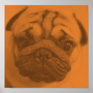 Póster Pug Face