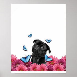 Poster Pug Gerbera Butterflies   Cachorro Negro
