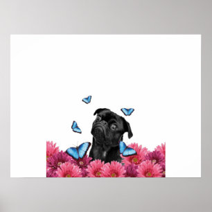 Poster Pug Gerbera Butterflies   Cachorro Negro