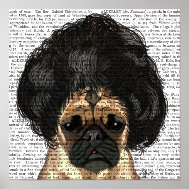 Póster Pug In A Bad Wig (Frente)