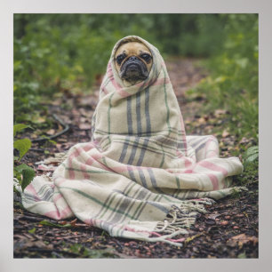 Poster Pug In A Blanket