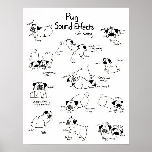 Póster Pug Sound Effects (Frente)