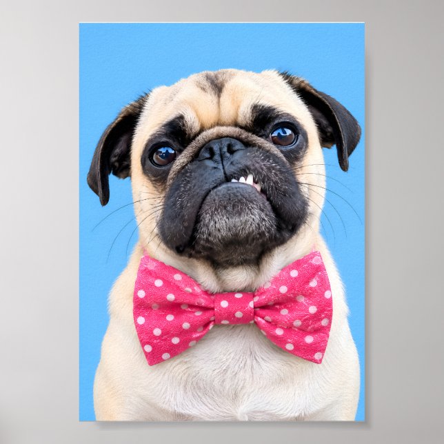 Poster Pug Usando Laço Rosa (Frente)