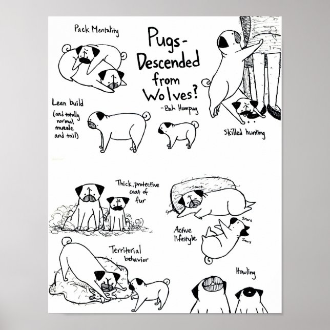 Poster Pugs Descendo De Lobos? (Frente)