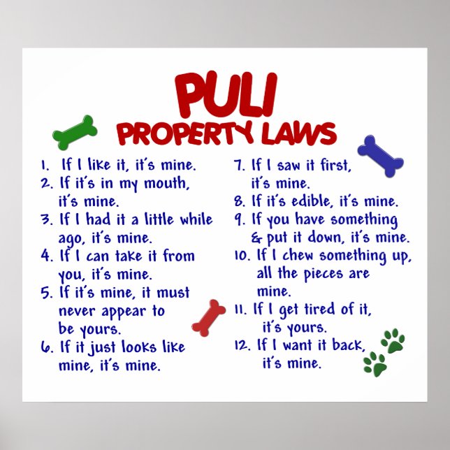 POSTER PULI PL2 (Frente)