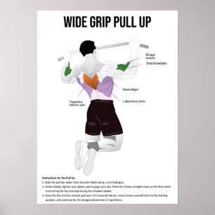 Poster Pull-Up - Exercício - Gráfico de Anatomia Muscular