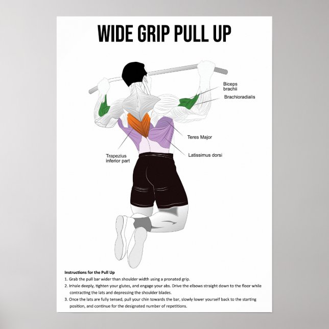 Poster Pull-Up - Exercício - Gráfico de Anatomia Muscular (Frente)