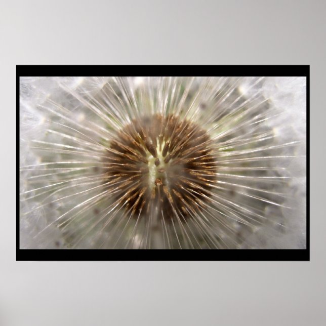 Poster Pulsar (Frente)