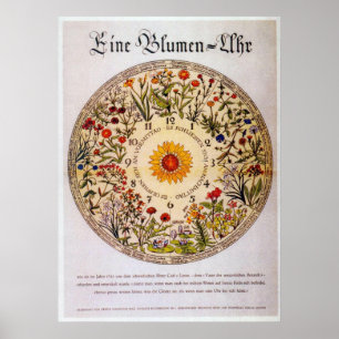 Póster Pulso de disparo   da flor de Blumenuhr