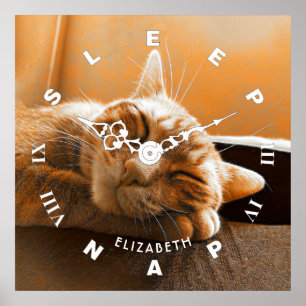 Póster Pulso de disparo de sono e Napping do gato