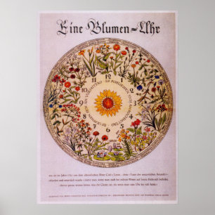 Poster Pulso de disparo   Poster2 da flor de Blumenuhr