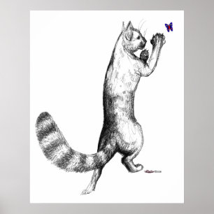 Poster Pulverização de Gatos