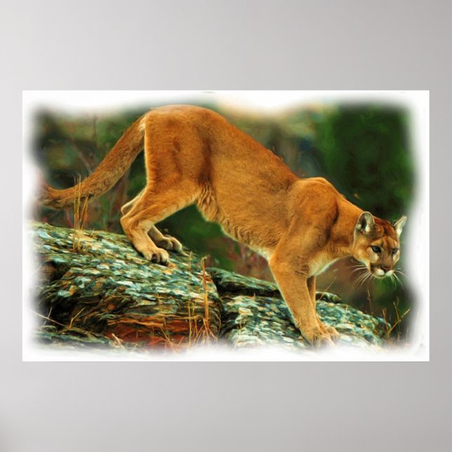 POSTER PUMA (Frente)
