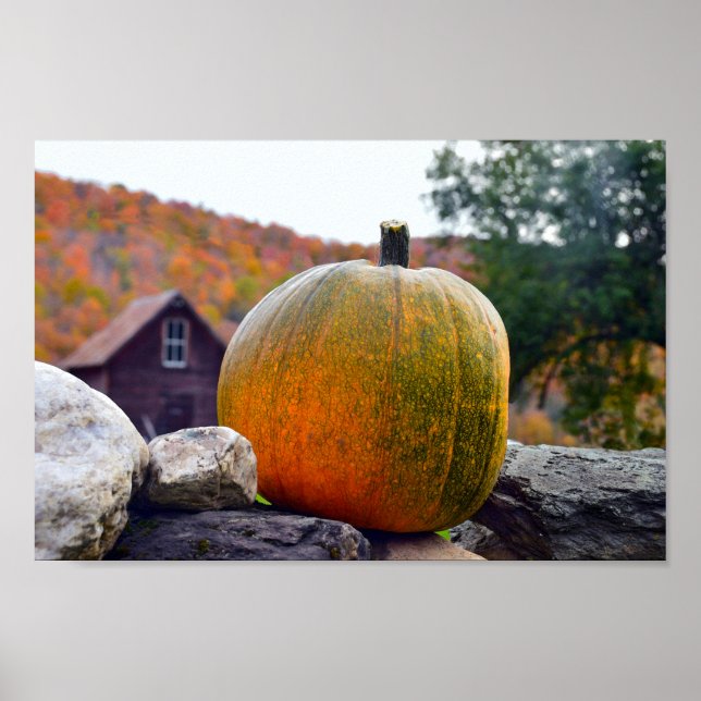 Póster Pumpkin em Rock Wall em Vermont, outono (Frente)