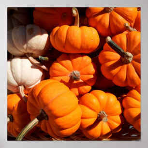 Póster Pumpkins