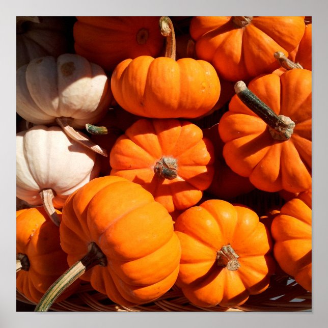 Póster Pumpkins (Frente)