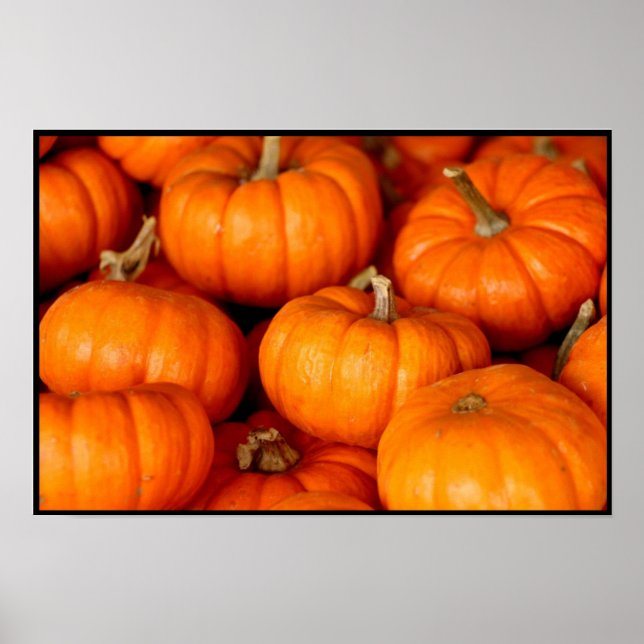 Poster Pumpkins (Frente)