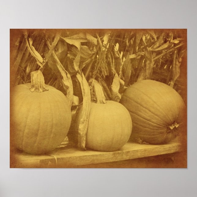 Poster Pumpkins Cornstalks Queda Vintage (Frente)
