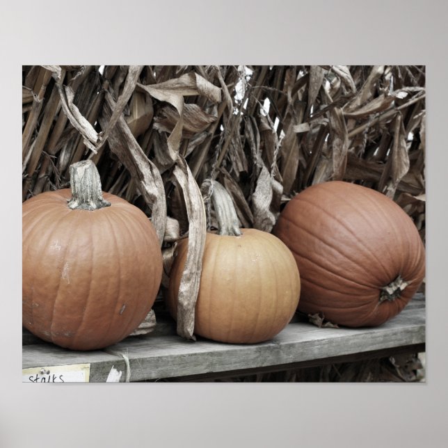 Poster Pumpkins De Queda E Pilhas De Milho (Frente)