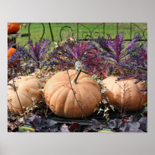 Poster Pumpkins E Fall Plant Fazenda Stand