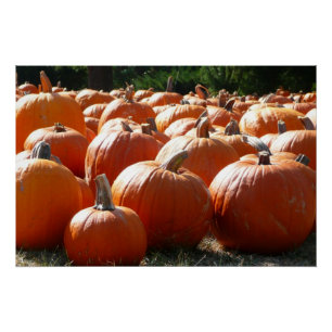 Póster Pumpkins Foto para Queda, Dia das Bruxas ou Ação