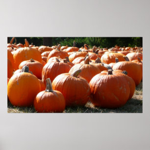 Póster Pumpkins Foto para Queda, Dia das Bruxas ou Ação