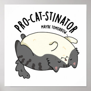 Poster Pun Gato Funny Fat Gato Pro-cat