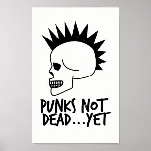 Poster Punks nao inoperantes… contudo branco do crânio
