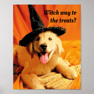 Poster Pup with Witch Hat and Broom