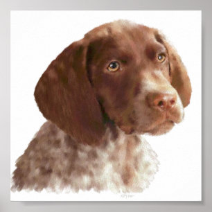 Poster Puppia Shorthair Alemã