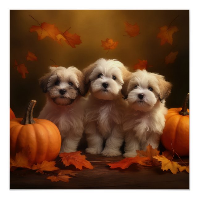 Póster Puppy Autumn Delight Pumpkin (Frente)