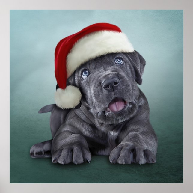 Poster Puppy Cane Corso em chapéu vermelho de Papai Noel (Frente)