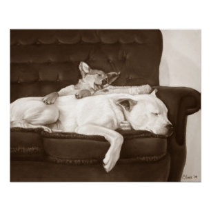 Póster puppy cuddddling white american buldog arte realis