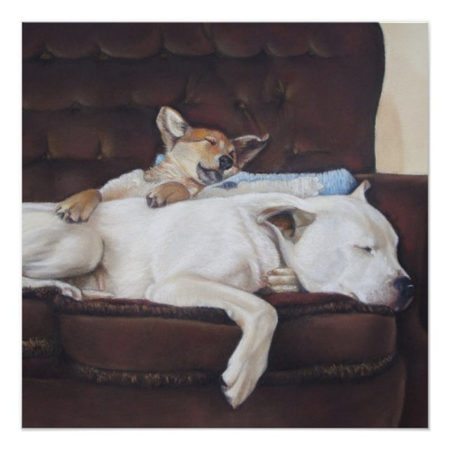 Póster puppy cuddddling white american buldog arte realis (Frente)