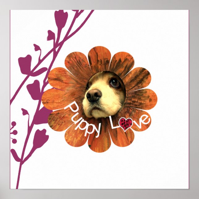 Poster Puppy Love (Frente)