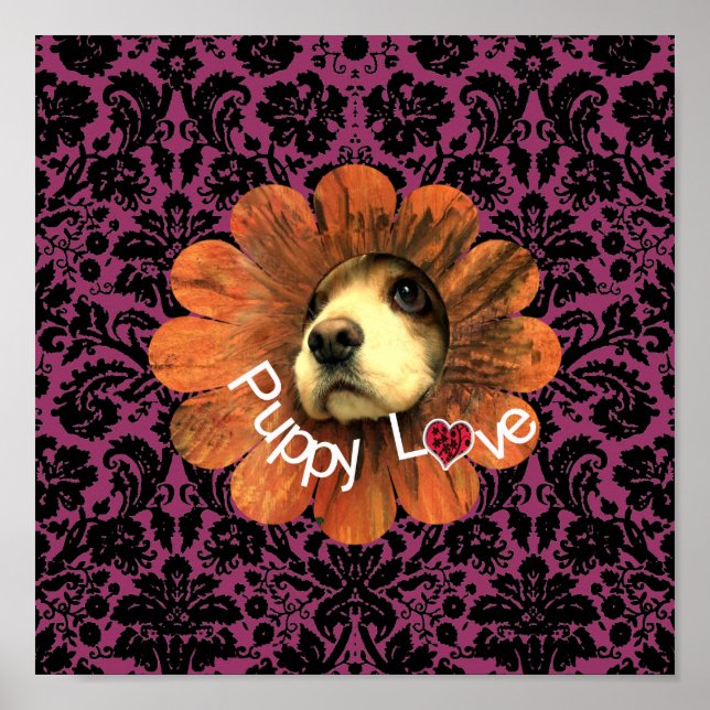 Póster Puppy Love (Frente)