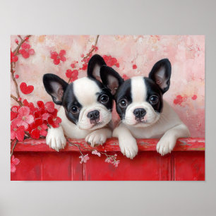Poster Puppy Love