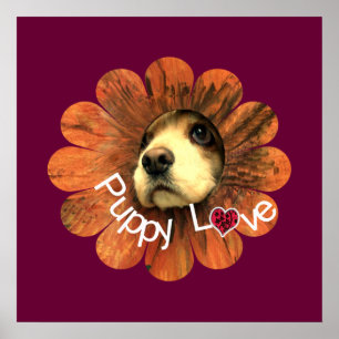 Póster Puppy Love