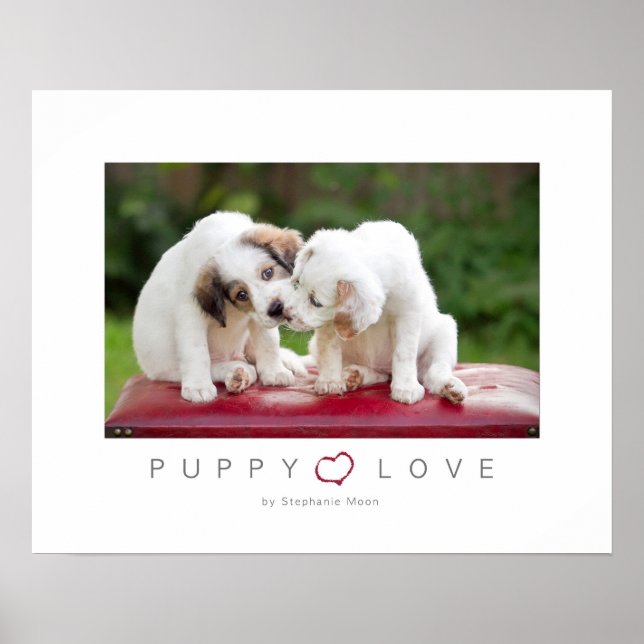Poster Puppy Love (Frente)