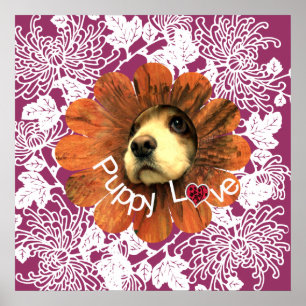 Poster Puppy Love