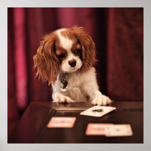 Póster Puppy Plays Cards