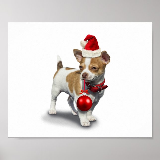 Poster Puppy with christmas hat and Ball (Frente)