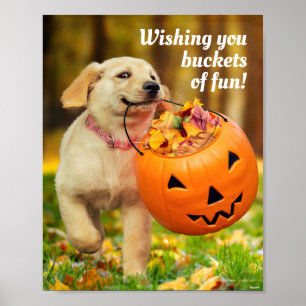 Poster Puppy With Pumpkin Bucket