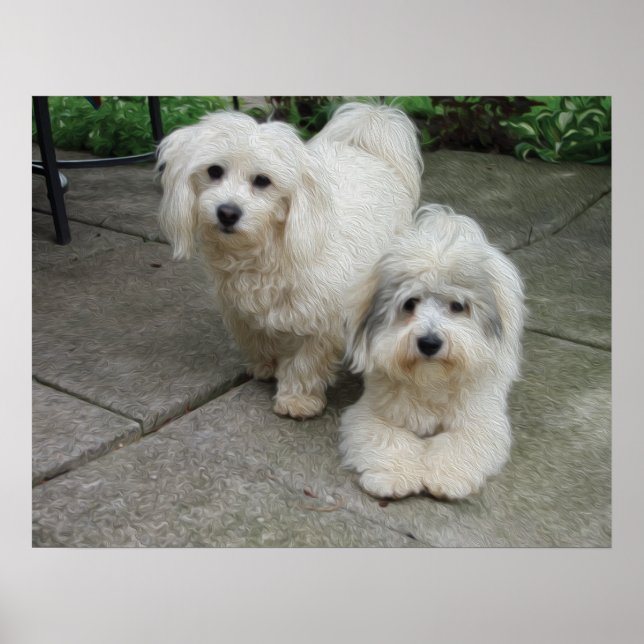 Póster Pups em óleo (Frente)