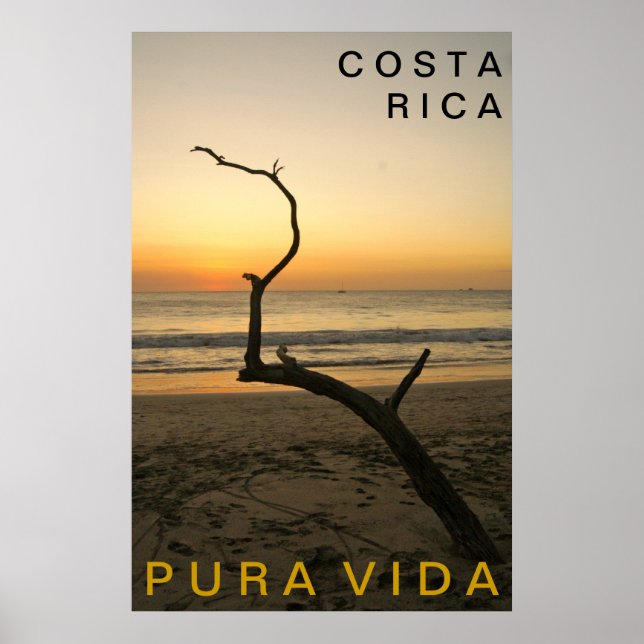 Poster PURA VIDA Praia Flamingo (Frente)